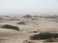 /international/2006Walvisbay/images/DrivingTheTrail/thumbnails/walvis3 079.jpg